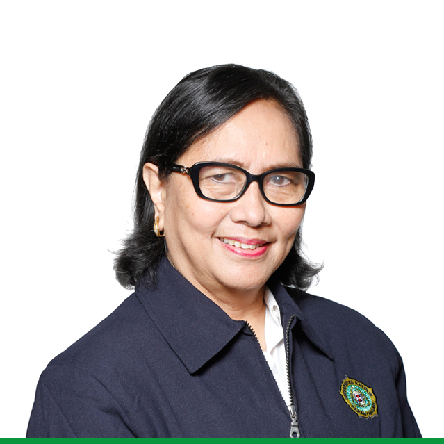 Dr. Rumiati Rosaline Tobing, Ir., M.T.