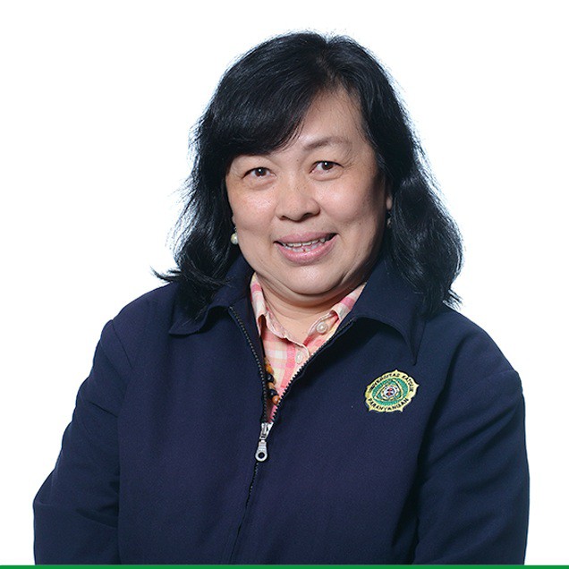 Ir. Amirani Ritva Santoso, MT.