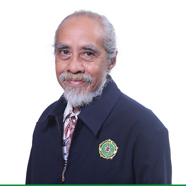 Ir. F.X. Budi Widodo Pangarso, M.S.P.